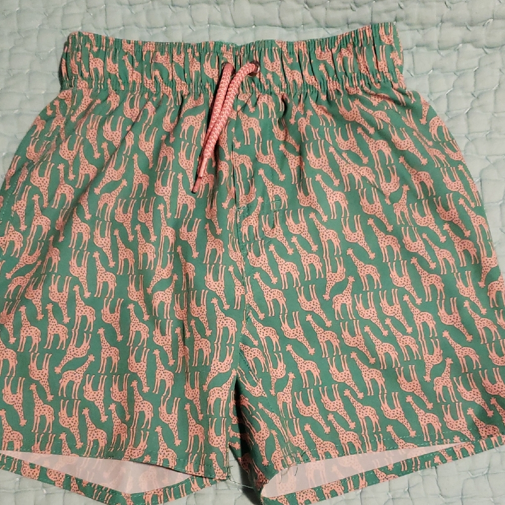 Class Club 8 Green Pink Giraffe Swim Trunks Shorts